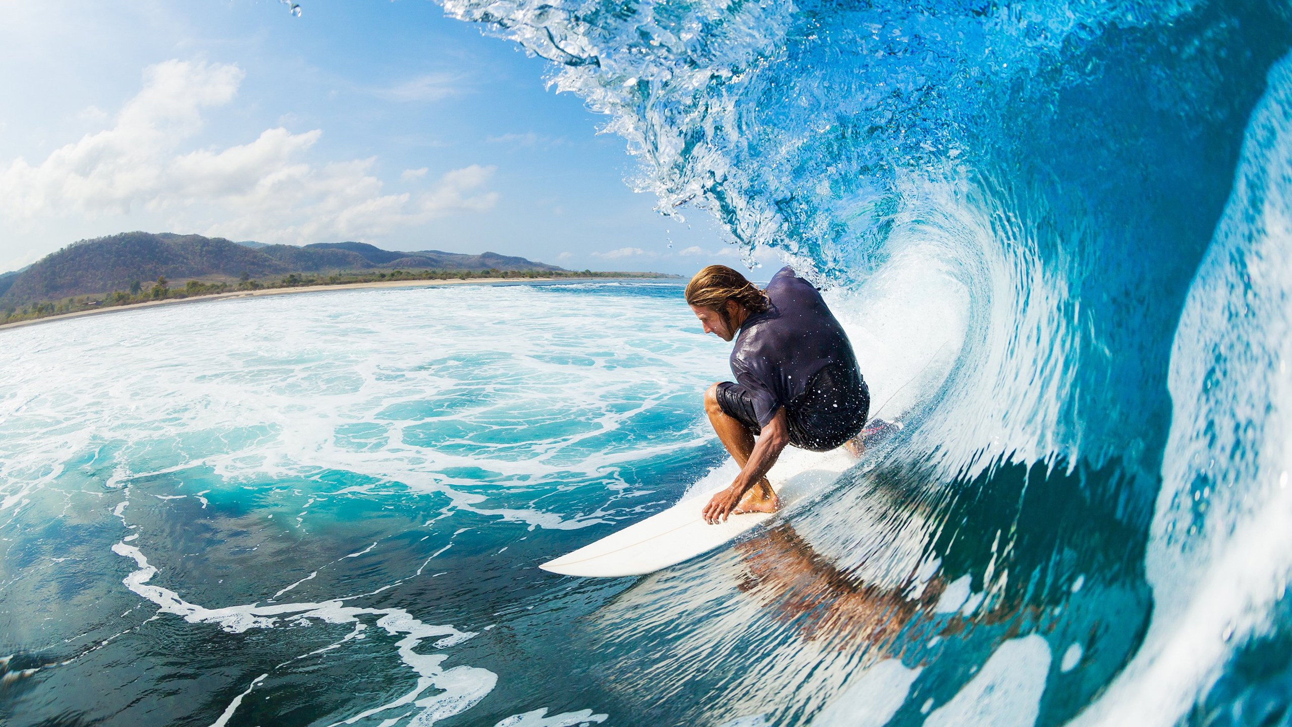 德国马术协会建立马匹基因数据库，促进马匹选育与训练。，德国马术选手痛哭